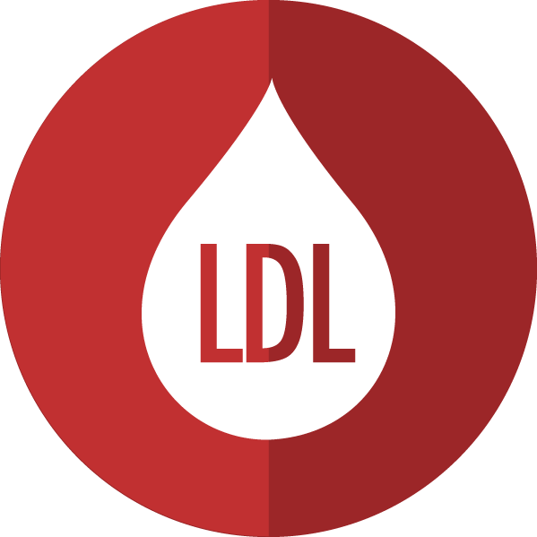 LDL cholesterol icon